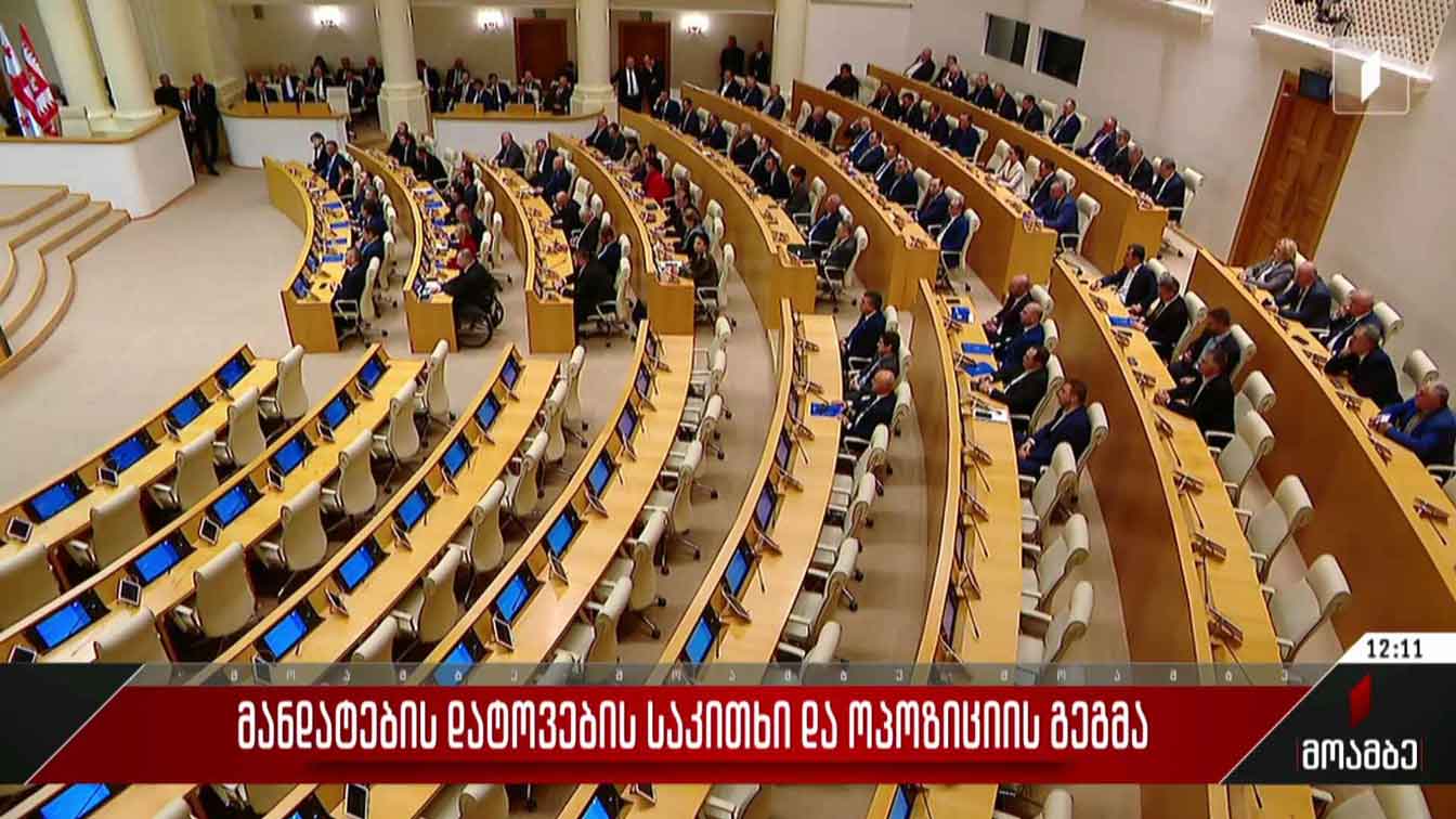 მანდატების დატოვების საკითხი და ოპოზიციის გეგმა