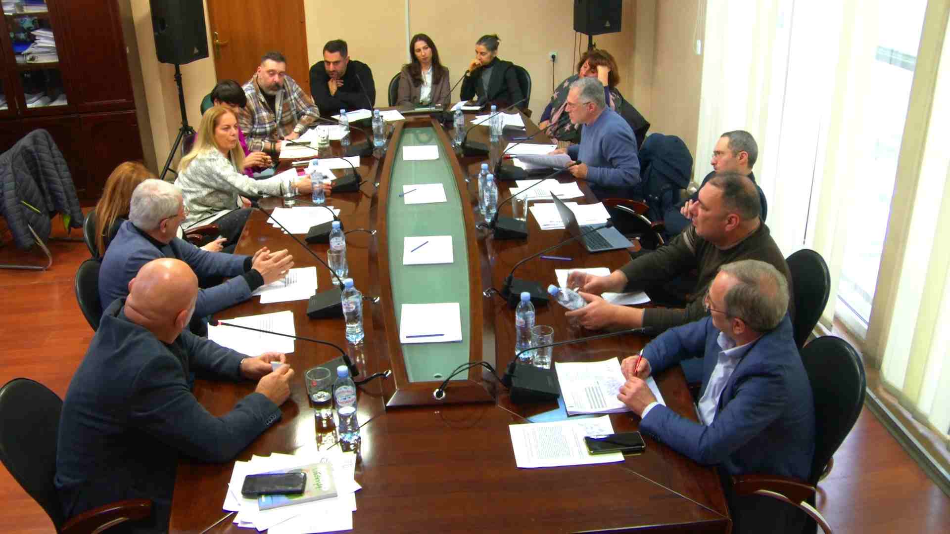 საზოგადოებრივი მაუწყებლის სამეურვეო საბჭოს სხდომა - 28 ნოემბერი, 2024