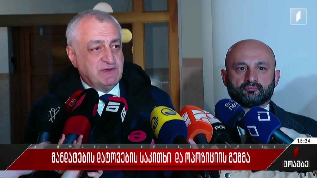 მანდატების დატოვების საკითხი და ოპოზიციის გეგმა