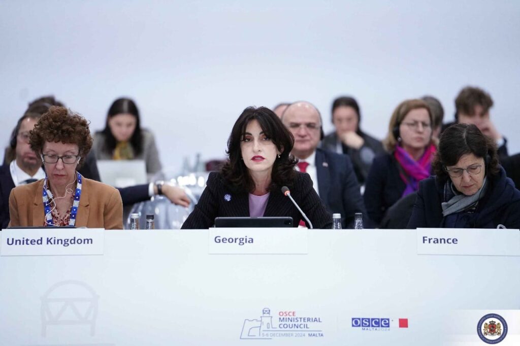 მაკა ბოჭორიშვილი - საქართველოს ამოცანაა ტერიტორიული მთლიანობის მშვიდობიანი გზით აღდგენა, ვაფასებთ პარტნიორთა მხარდაჭერას, როცა საქმე ეხება ტერიტორიული მთლიანობის მხარდაჭერას