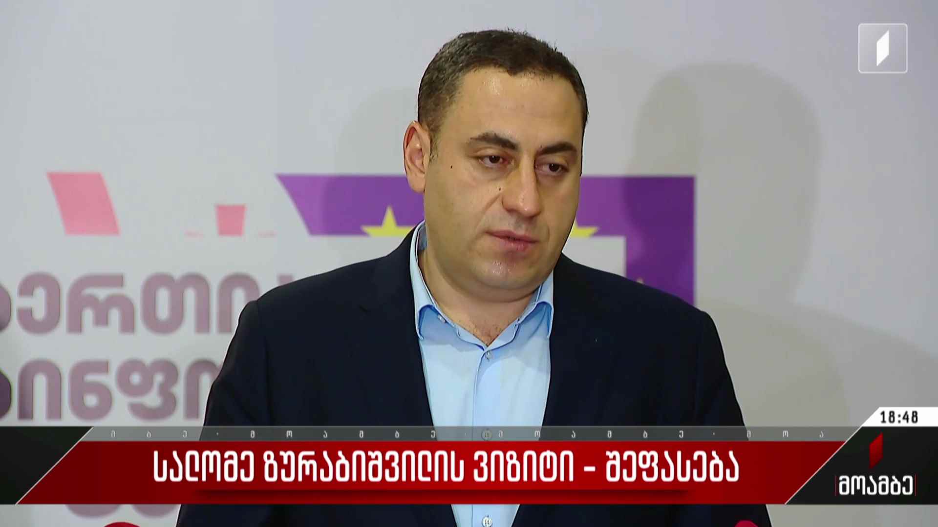 სალომე ზურაბიშვილის ვიზიტი - შეფასებები