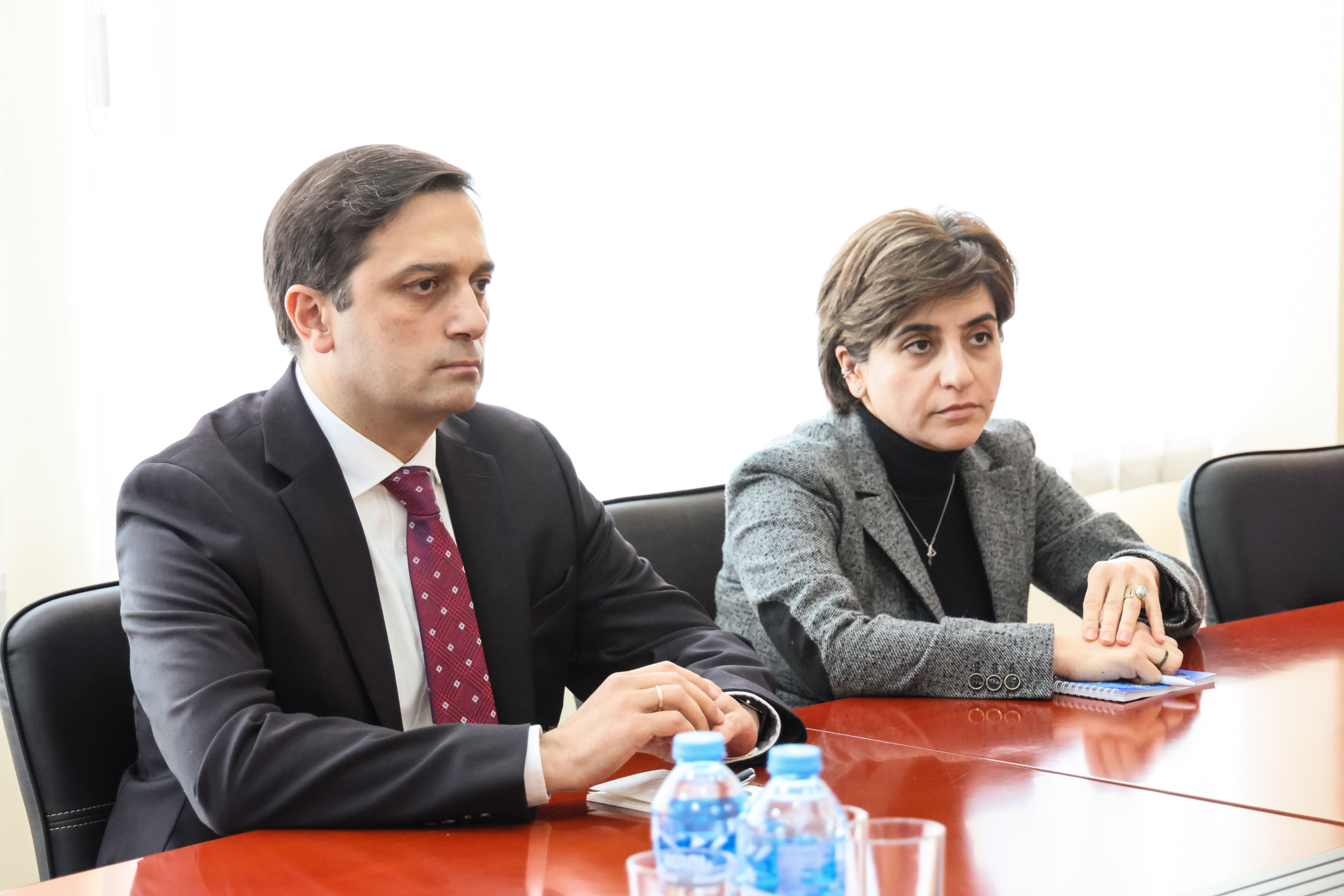 ლევან იოსელიანმა რობინ დანიგანსა და პაველ ჰერჩინსკისთან შეხვედრა გამართა
