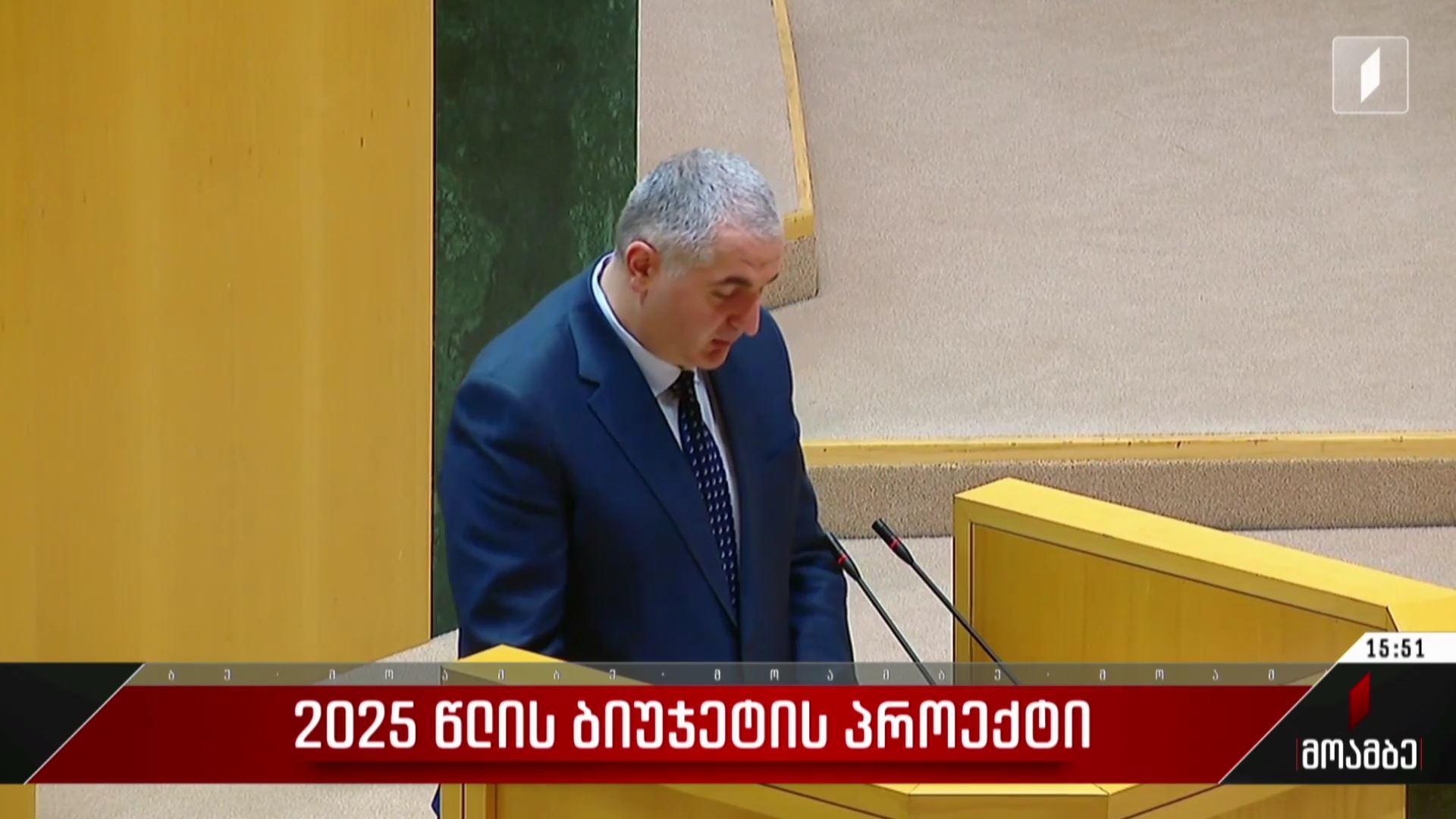 2025 წლის ბიუჯეტის პროექტი