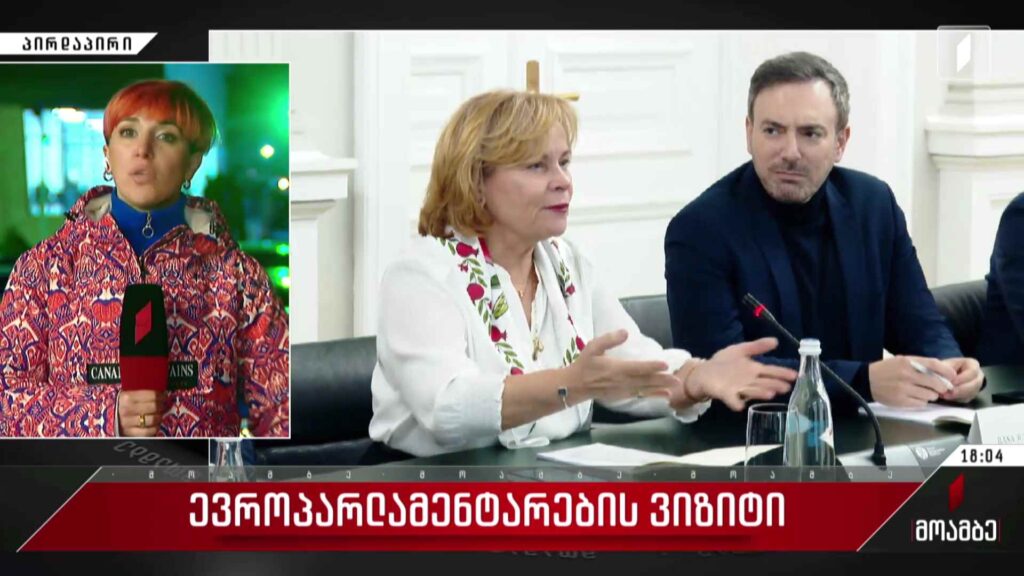 ევროპარლამენტარების ვიზიტი