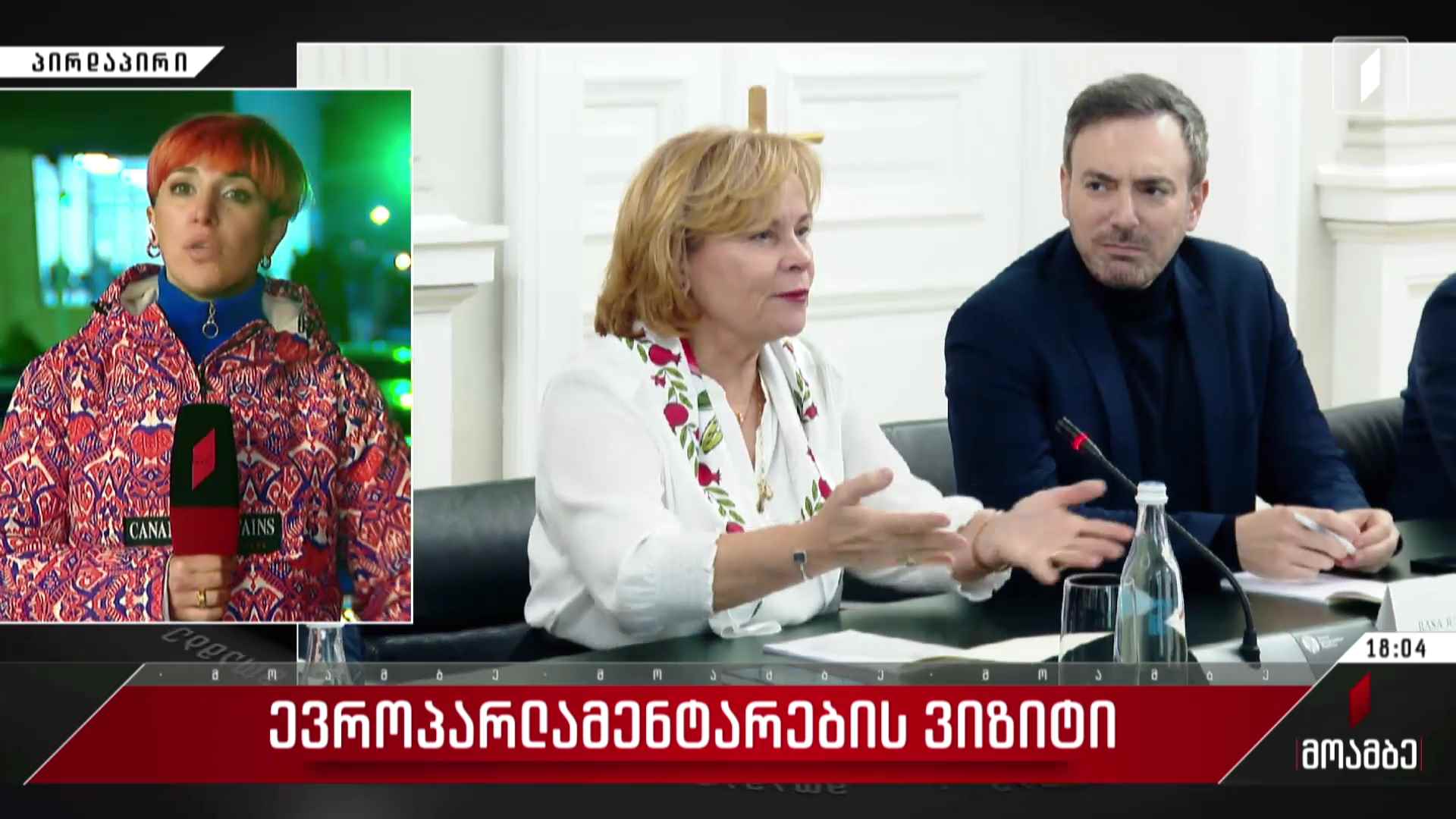 ევროპარლამენტარების ვიზიტი