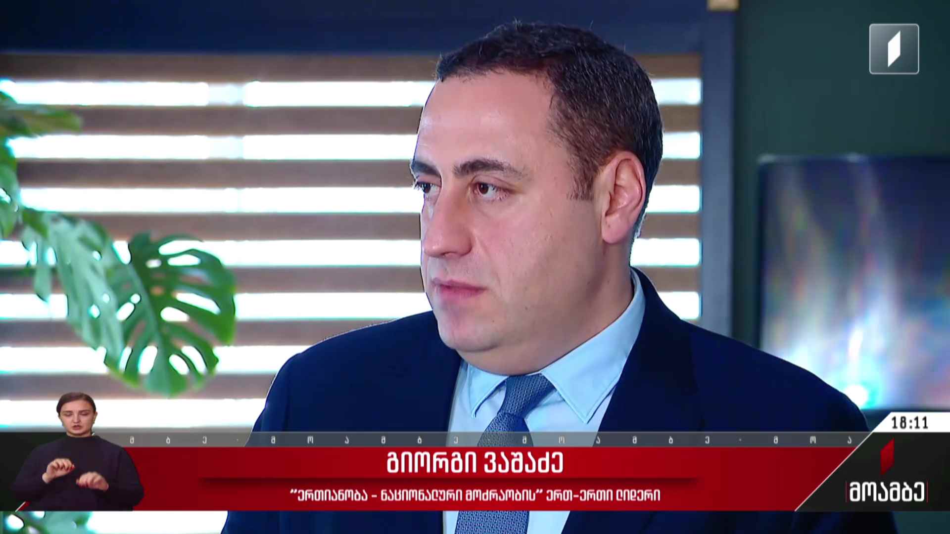 ევროპარლამენტარების ვიზიტი - შეფასებები