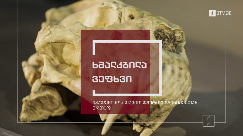 ხმალკბილა ვეფხვი