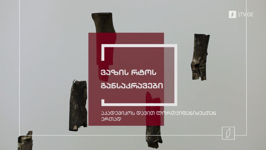 ვაზის რტოს განსაკვრავები