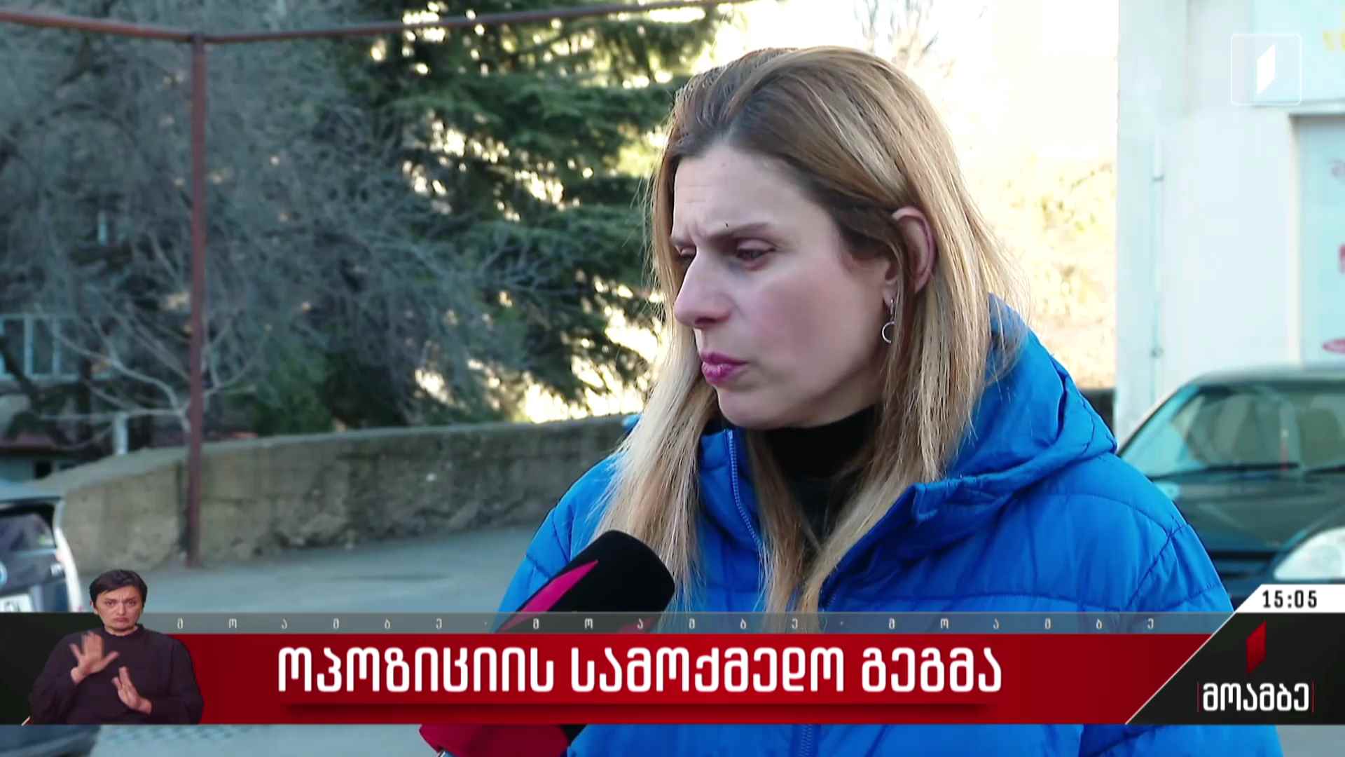 ოპოზიციის სამოქმედო გეგმა
