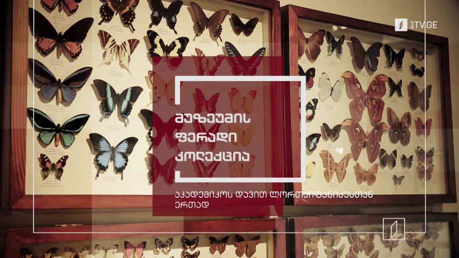მუზეუმის ფერადი კოლექცია