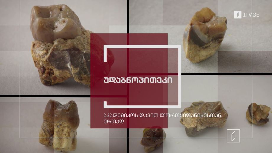 უდაბნოპითეკი