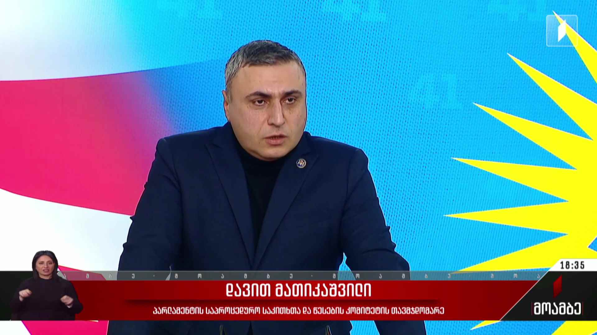 ოპოზიციის სამოქმედო გეგმა - პოლიტიკური შეფასებები