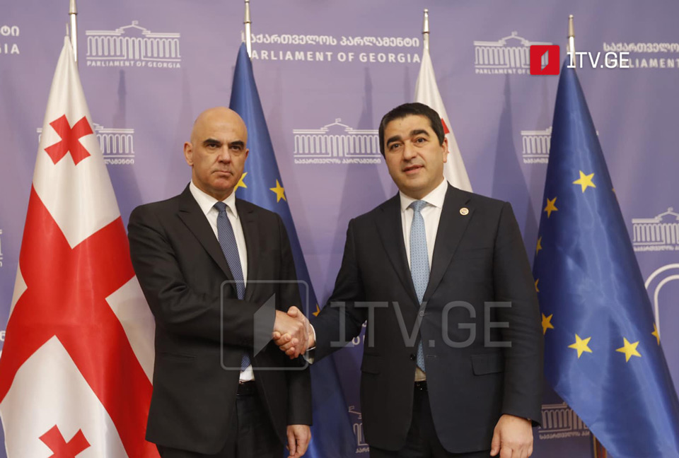 შალვა პაპუაშვილი ევროპის საბჭოს გენერალურ მდივანს შეხვდა
