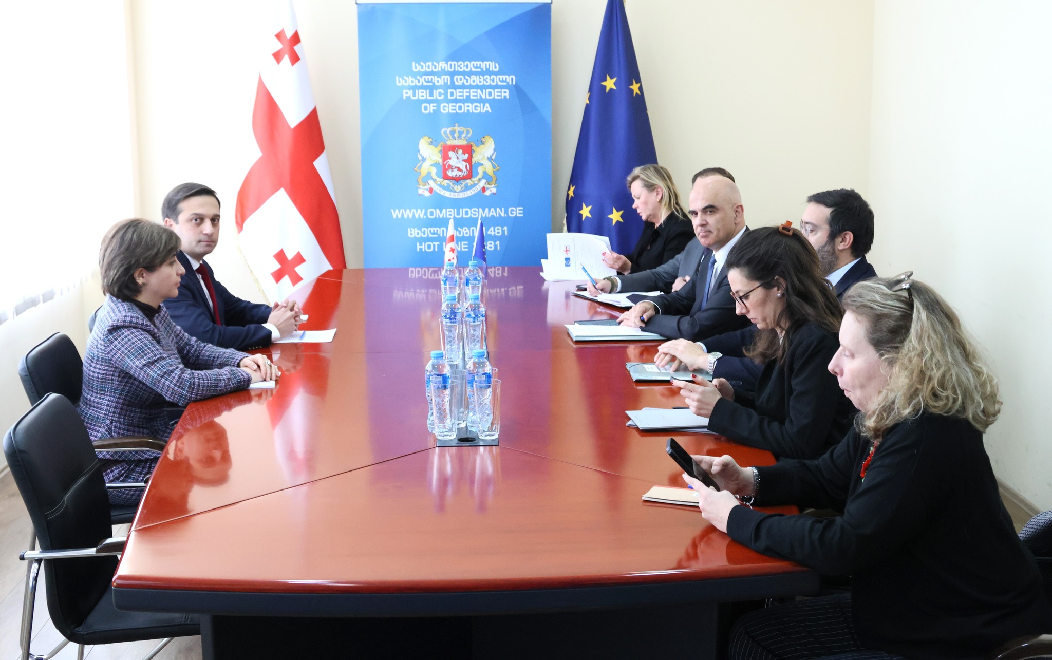 ლევან იოსელიანი ევროპის საბჭოს გენერალურ მდივანს, ალენ ბერსეს შეხვდა