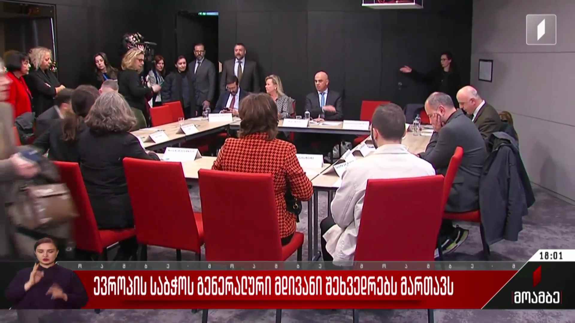 ევროპის საბჭოს გენერალური მდივანი არასამთავრობო სექტორის წარმომადგენლებს შეხვდა