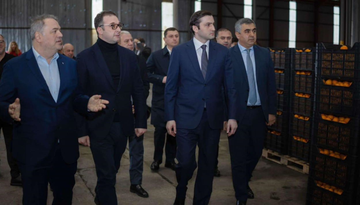 დავით სონღულაშვილი და თორნიკე რიჟვაძე აჭარაში ციტრუსის სეზონის მიმდინარეობას გაეცნენ