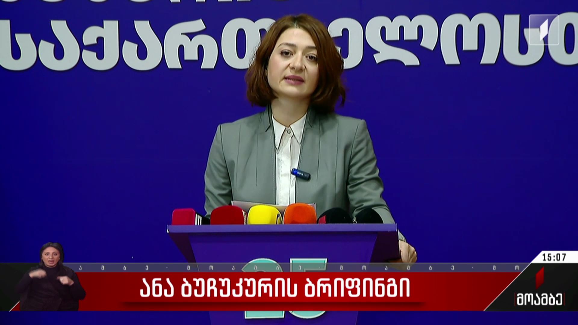 ანა ბუჩუკურის ბრიფინგი