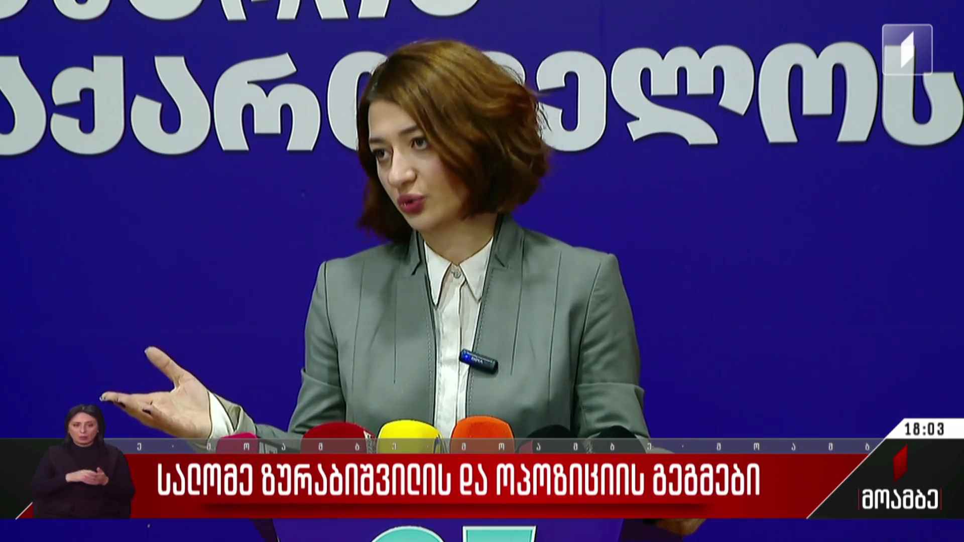 სალომე ზურაბიშვილისა და ოპოზიციის გეგმები