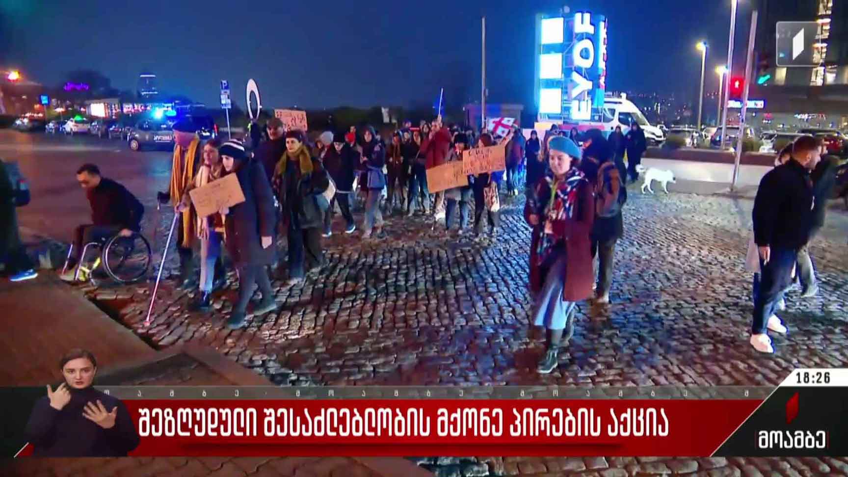შეზღუდული შესაძლებლობის მქონე პირების აქცია