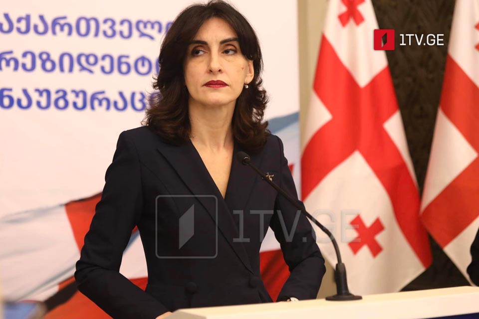 მაკა ბოჭორიშვილი დუბროვნიკის ფორუმში მონაწილეობს