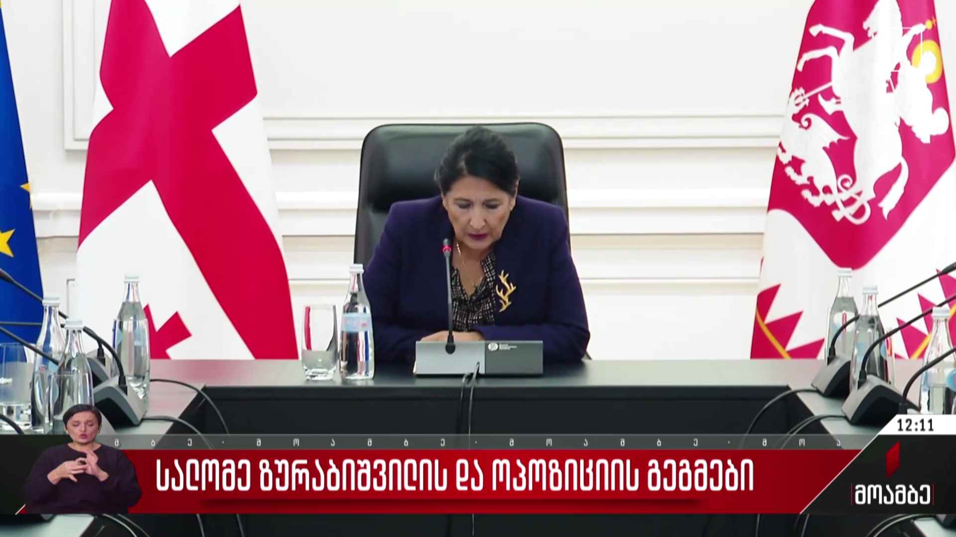 სალომე ზურაბიშვილის და ოპოზიციის გეგმები
