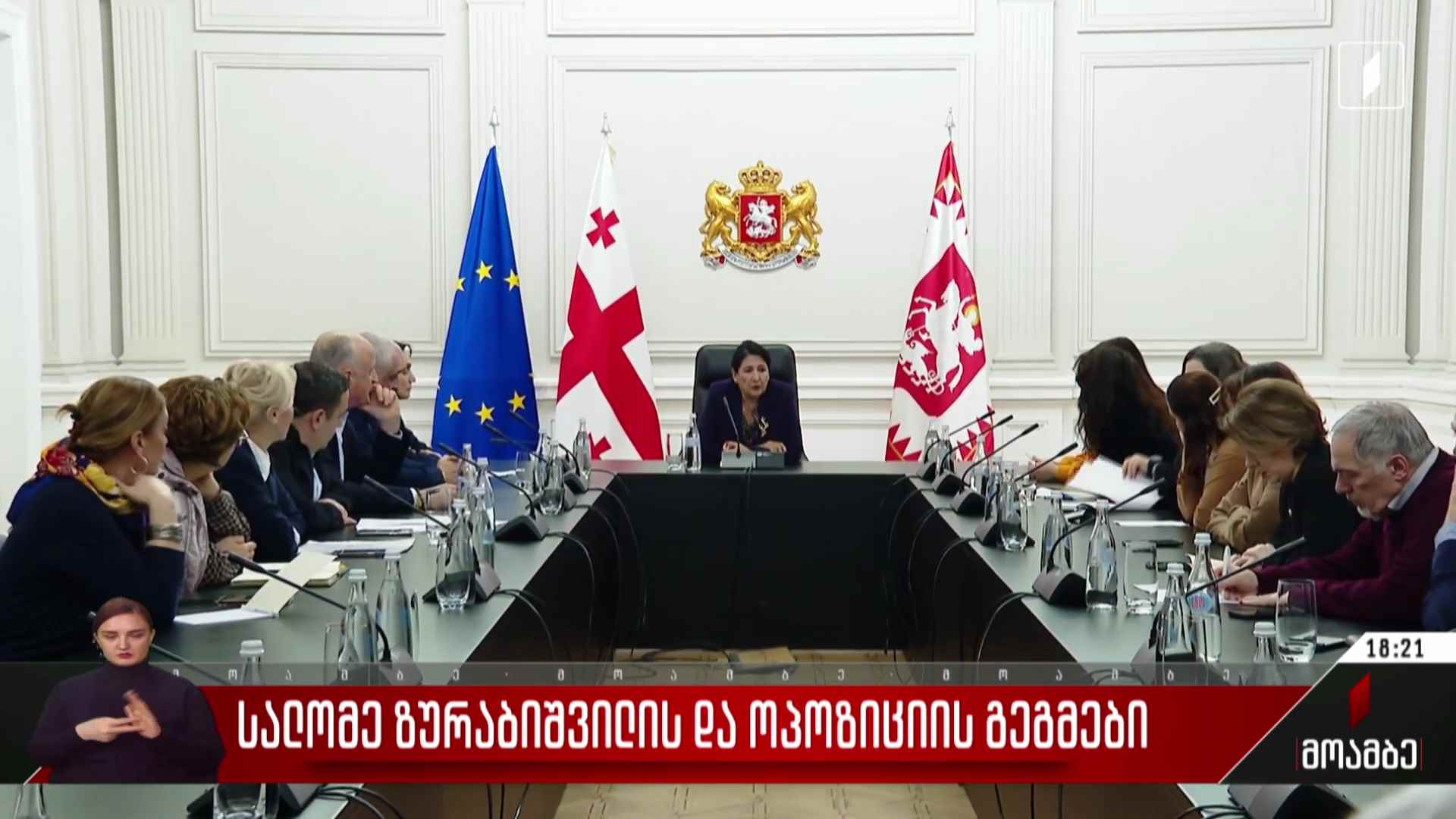 სალომე ზურაბიშვილის და ოპოზიციის გეგმები