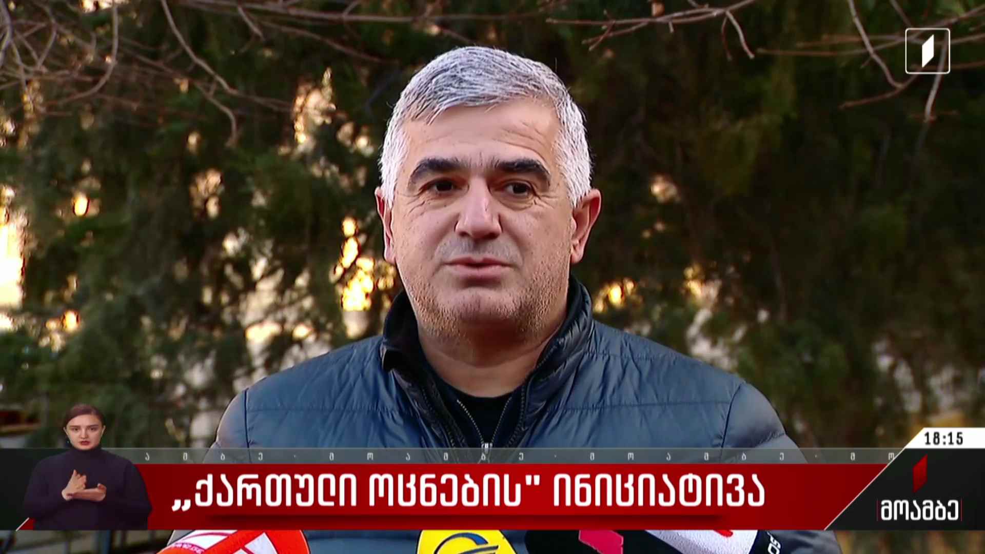 „ქართული ოცნების“ ინიციატივა - შეფასებები