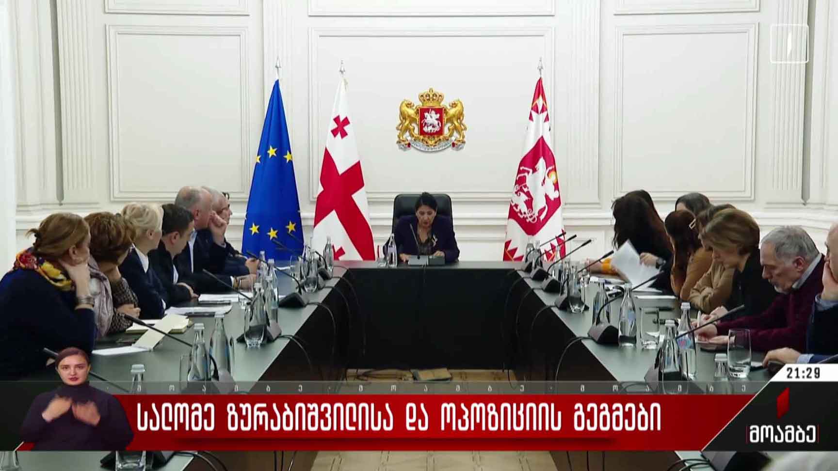 სალომე ზურაბიშვილისა და ოპოზიციის გეგმები