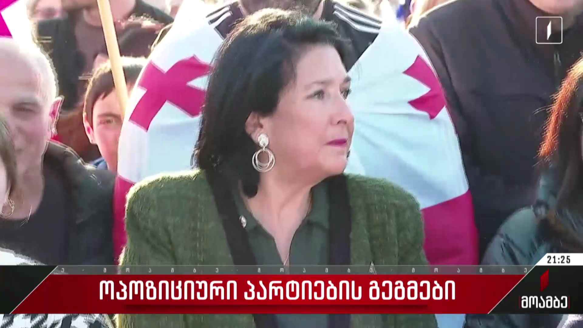 ოპოზიციური პარტიების გეგმები