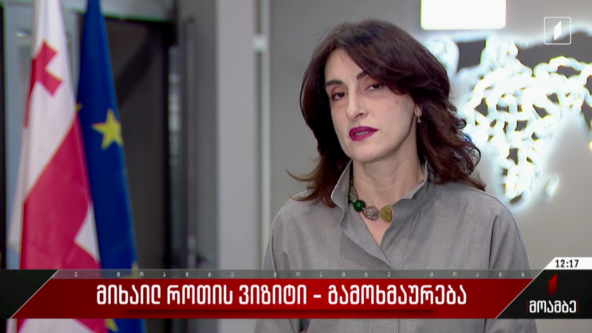 მიხაილ როთის ვიზიტი - გამოხმაურება პოლიტიკურ სპექტრში