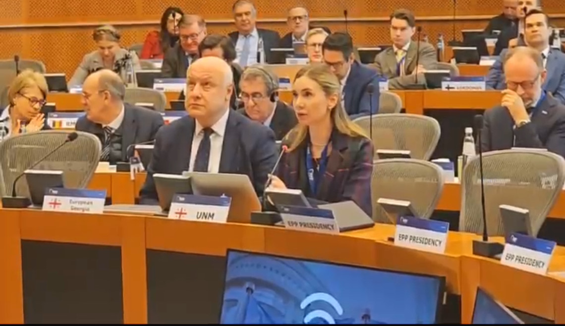 თინა ბოკუჩავა ევროპის სახალხო პარტიის ასამბლეაზე სიტყვით გამოვიდა