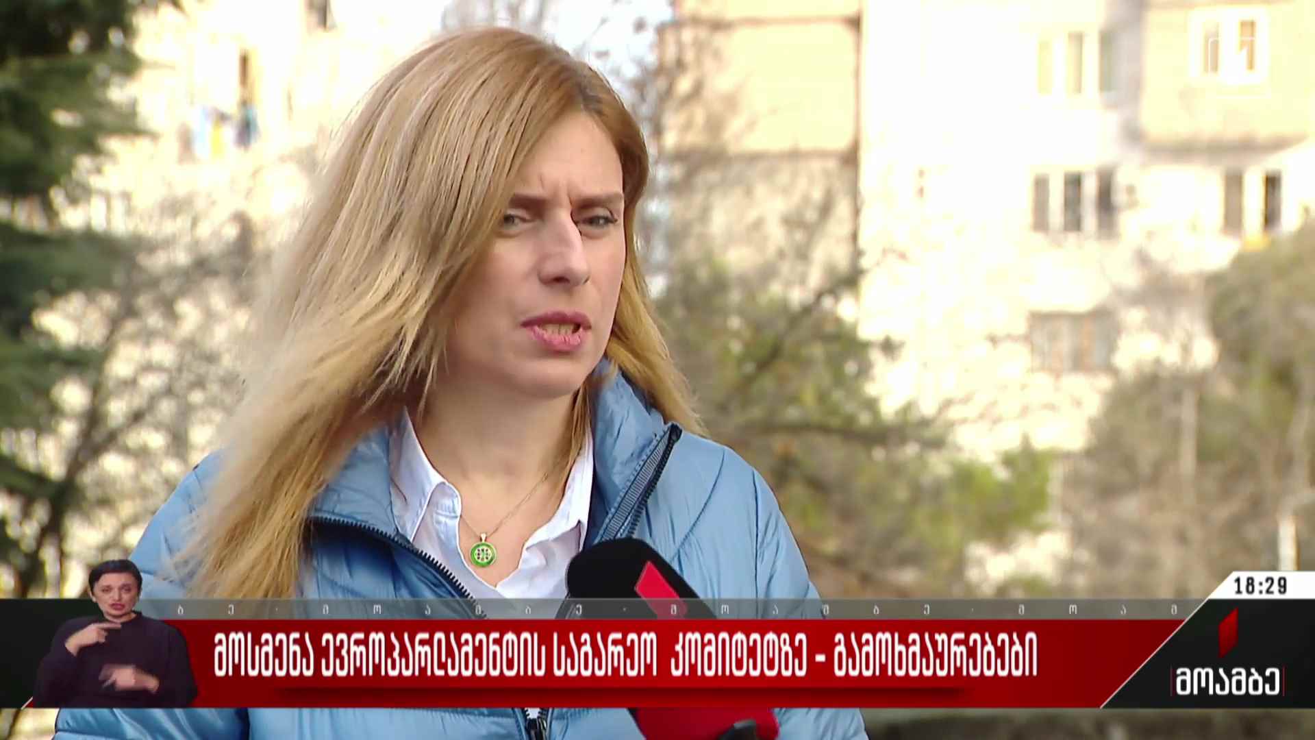 მოსმენა ევროპარლამენტის საგარეო კომიტეტზე - გამოხმაურება