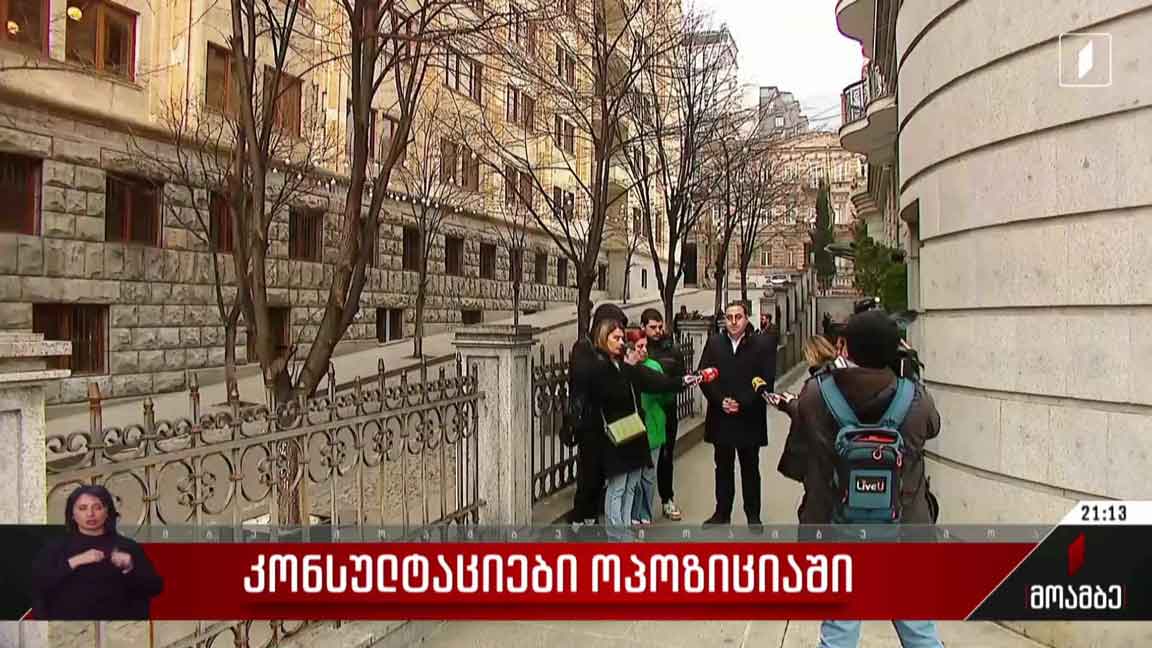 კონსულტაციები ოპოზიციაში