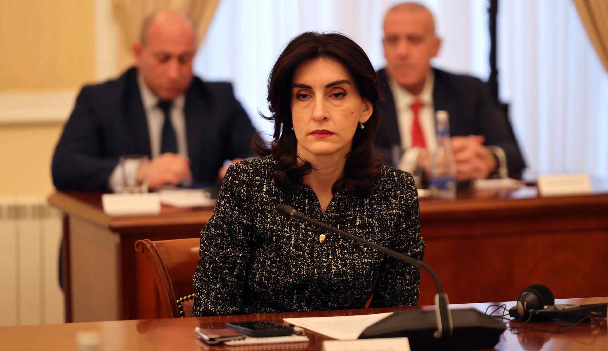 მაკა ბოჭორიშვილი - საქართველოს მოქალაქეებთან მიმართებაში ქმედებები შეშფოთებას იწვევს და ძალიან ხშირად მოკლებულია საფუძველს, ყველაფერი შექმნილია ქვეყანაზე ზეწოლის მოსახდენად