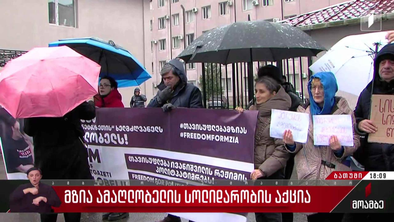 მზია ამაღლობელის სოლიდარობის აქცია