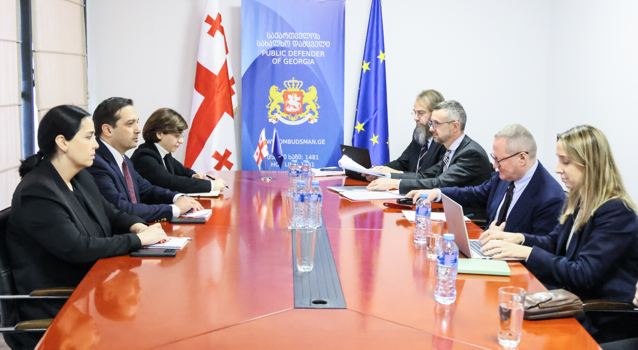 საქართველოს სახალხო დამცველი ევროპის საბჭოს ადამიანის უფლებათა კომისარს, მაიკლ ო'ფლაერტის შეხვდა