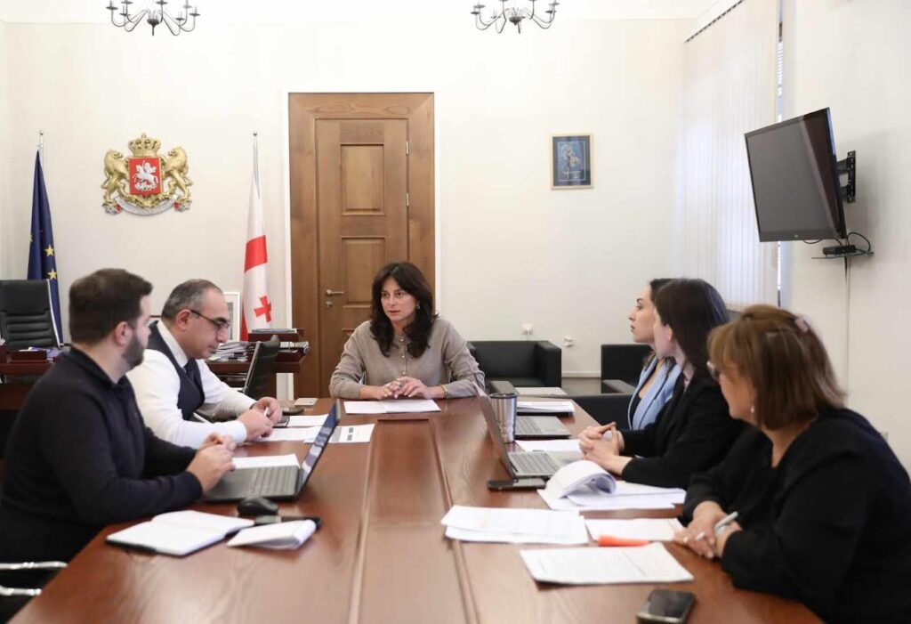 გარემოს დაცვისა და ბუნებრივი რესურსების კომიტეტში კლიმატის ცვლილების კანონთან დაკავშირებით სამუშაო შეხვედრა გაიმართა