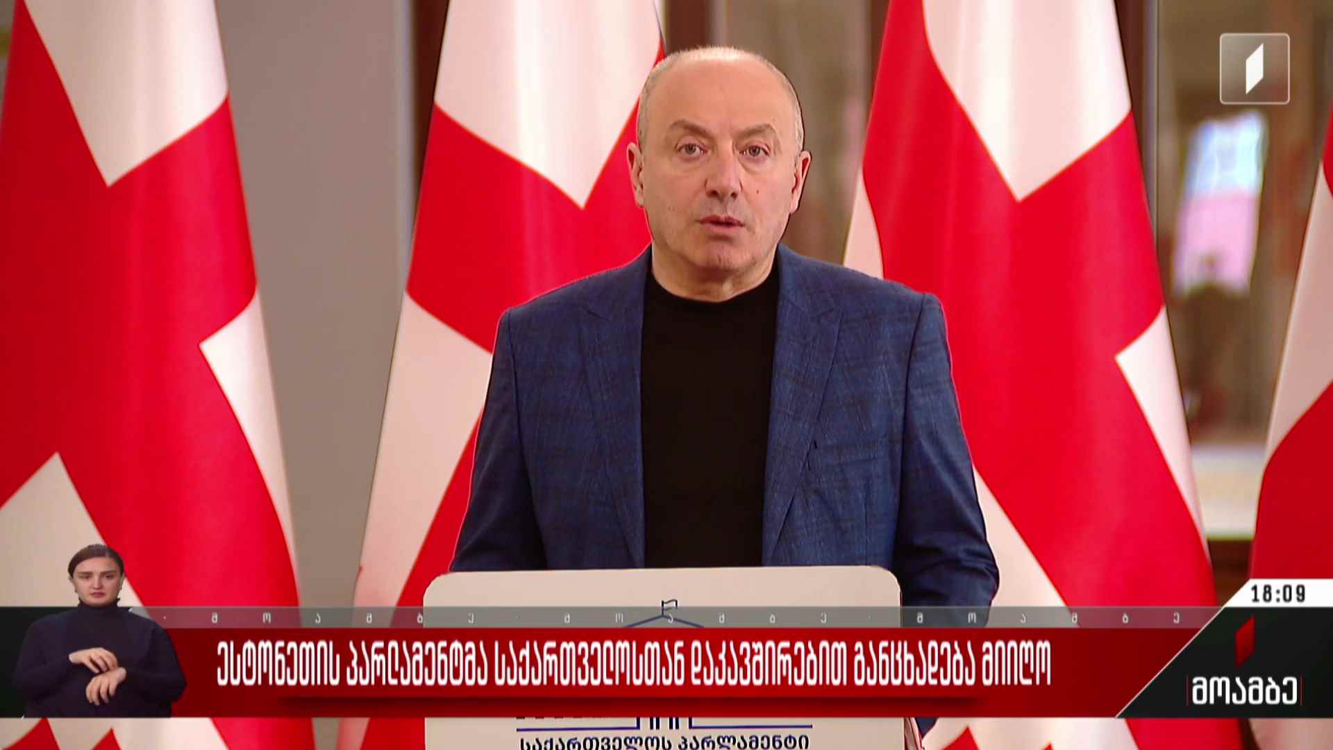 ესტონეთის პარლამენტმა საქართველოსთან დაკავშირებით განცხადება მიიღო - გამოხმაურება