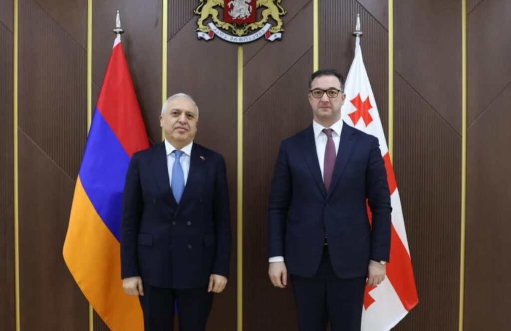 დავით სონღულაშვილი საქართველოში სომხეთის ელჩს, აშოტ სმბატიანს შეხვდა