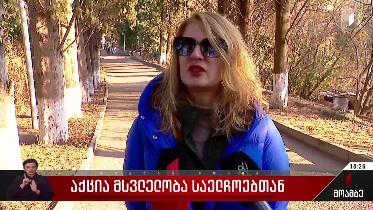 აქცია მსვლელობა საელჩოებთან