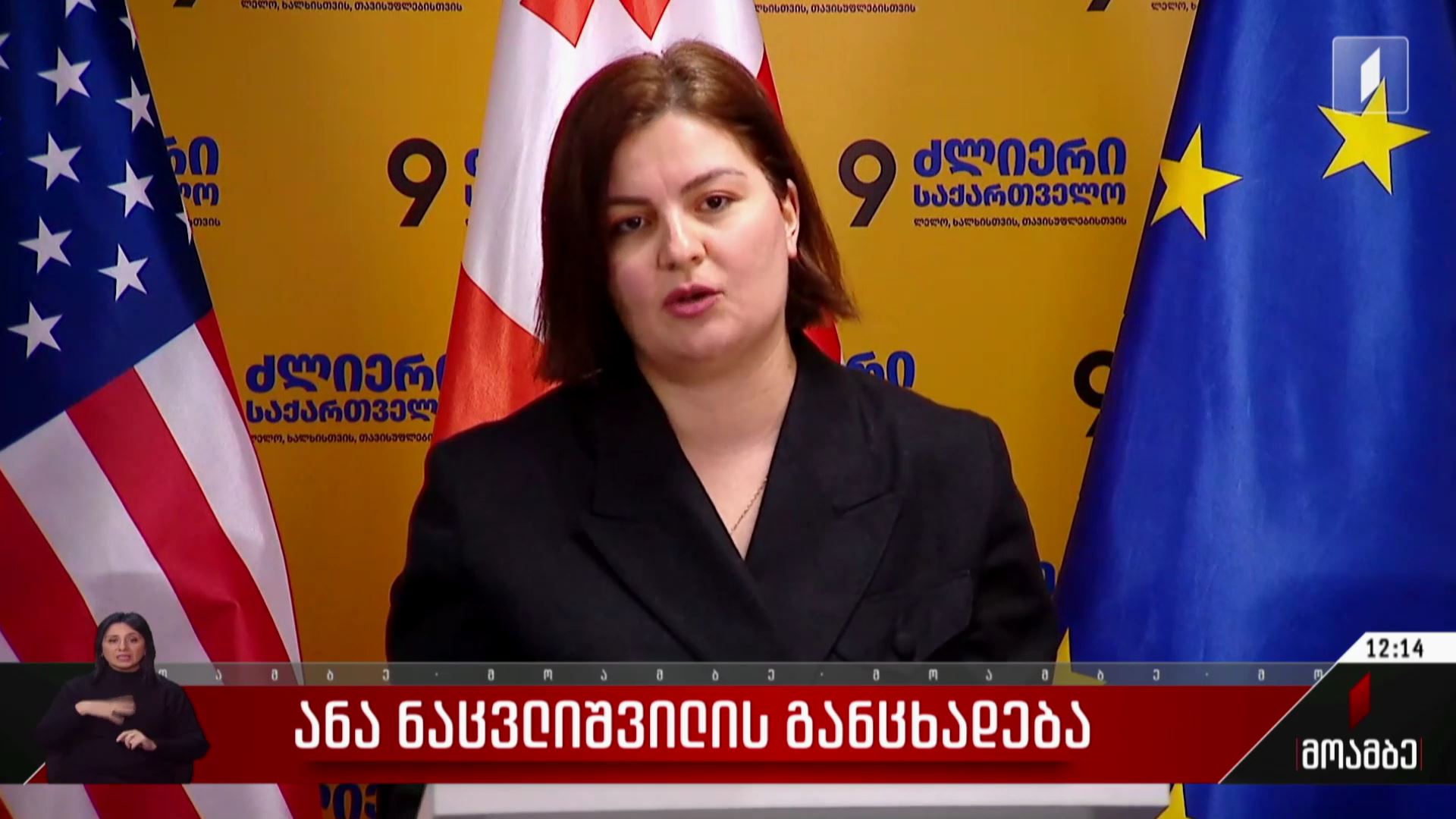 ანა ნაცვლიშვილის განცხადება