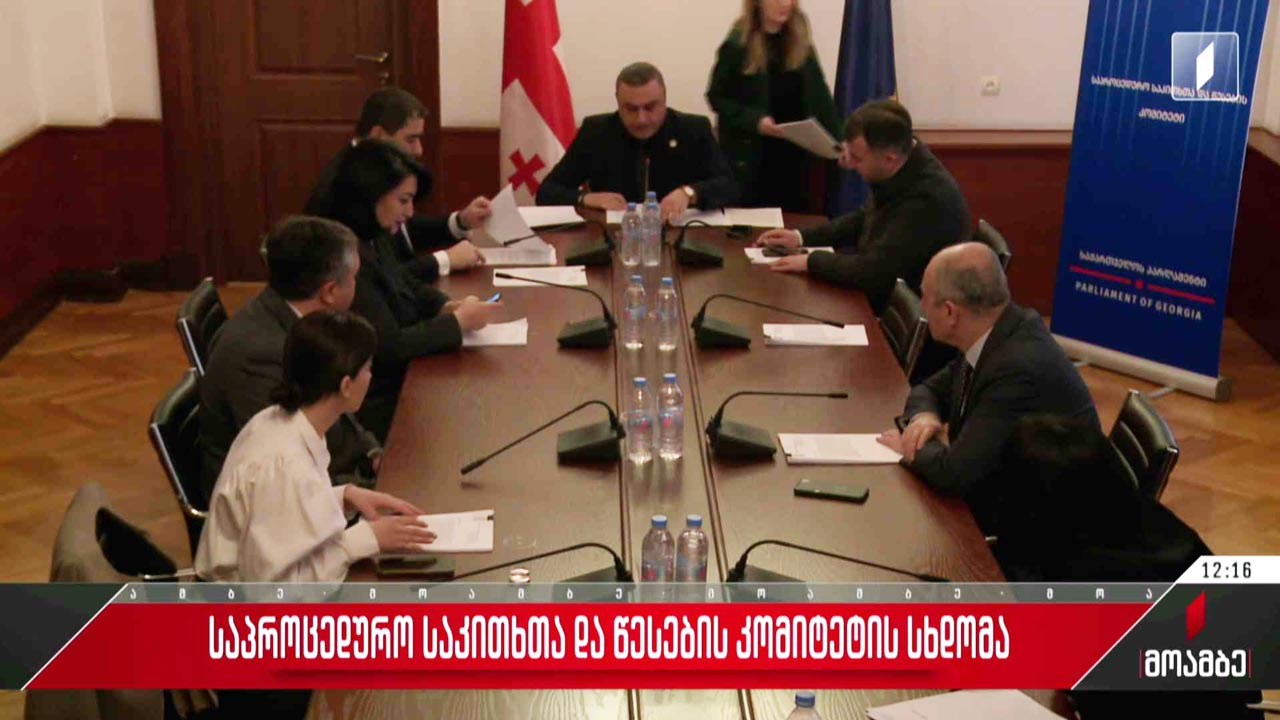პარლამენტის საპროცედურო საკითხთა და წესების კომიტეტის სხდომა