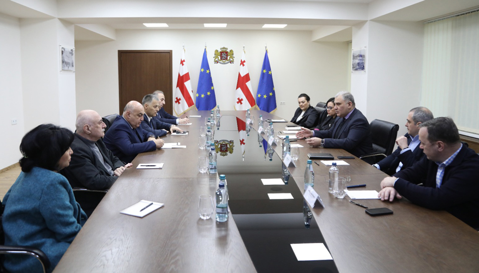მიხეილ სარჯველაძე ჯანმრთელობის დაცვისა და სოციალურ საკითხთა კომიტეტის თავმჯდომარეს, ზაზა ლომინაძესა და კომიტეტის წევრებს შეხვდა