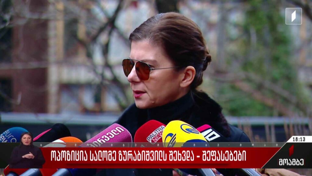 ოპოზიცია სალომე ზურაბიშვილს შეხვდა – შეფასებები