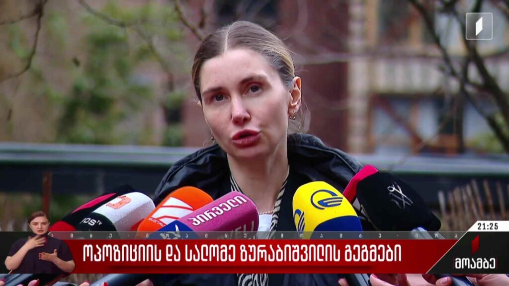 ოპოზიციის და სალომე ზურაბიშვილის გეგმები
