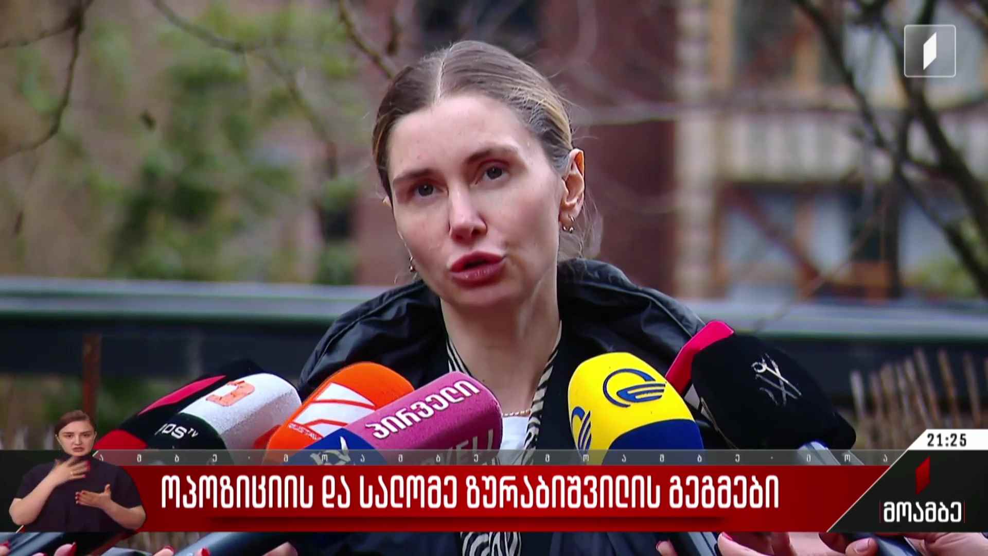 ოპოზიციის და სალომე ზურაბიშვილის გეგმები