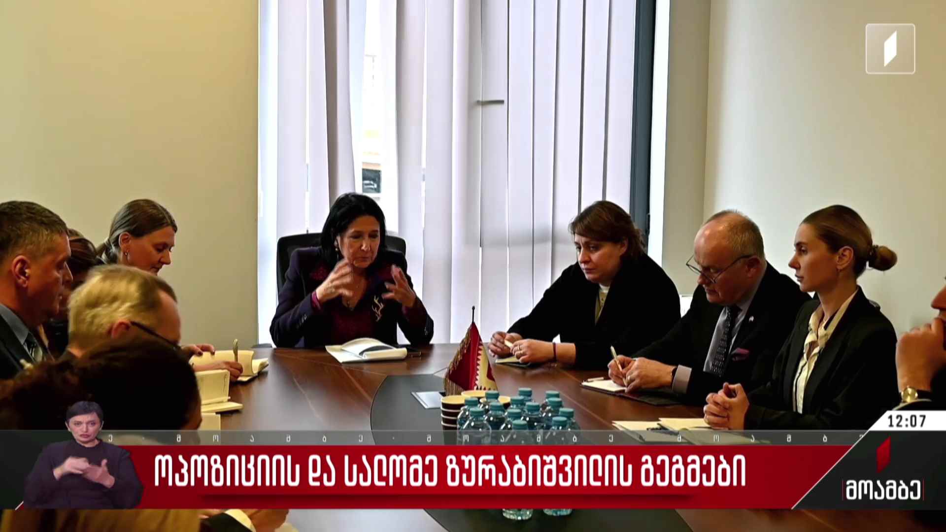 ოპოზიციის და სალომე ზურაბიშვილის გეგმები