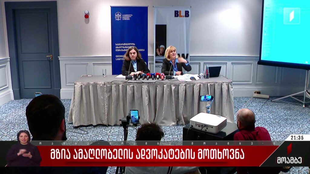 მზია ამაღლობელის ადვოკატების მოთხოვნა