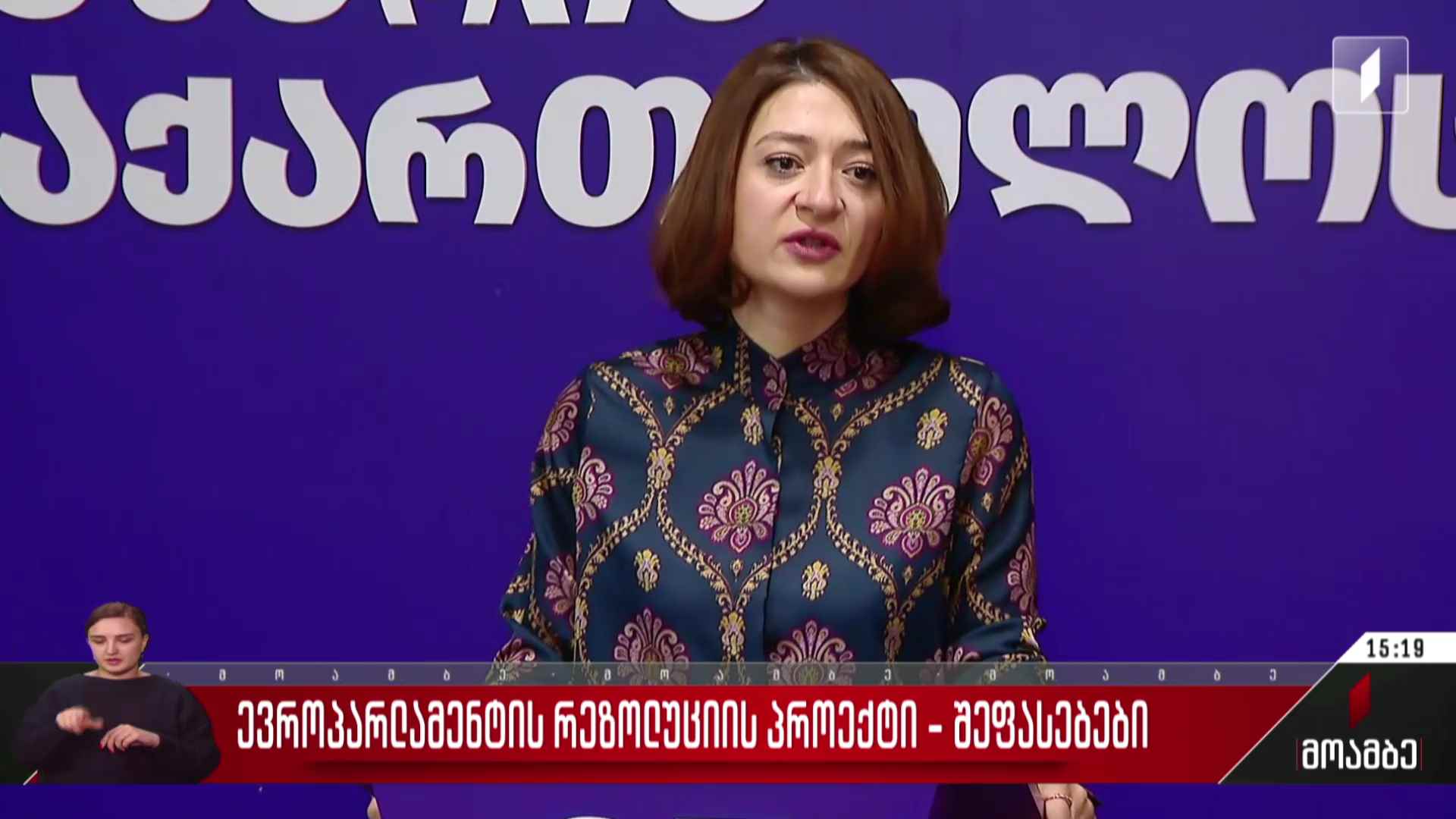 ევროპარლამენტის რეზოლუციის პროექტი - შეფასებები