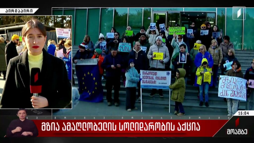 მზია ამაღლობელის სოლიდარობის აქცია